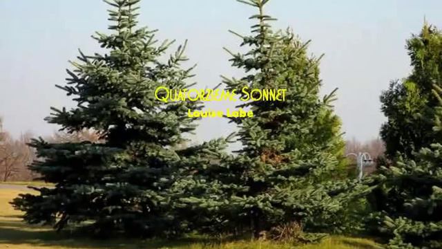 Quatorzieme Sonnet - Louise Labe смотреть онлайн