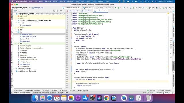 Read a pre-populated sqlite database using flutter. смотреть онлайн