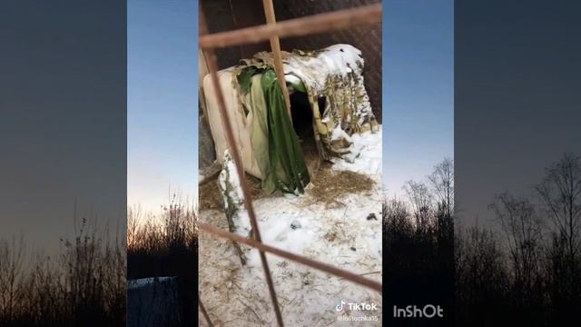 Трудовая суббота волонтеров приюта смотреть онлайн