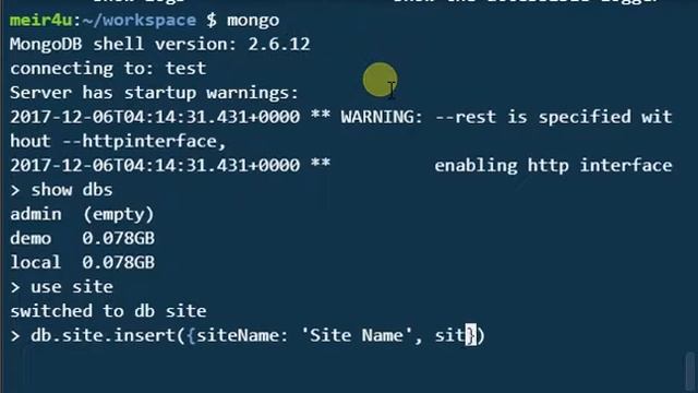 Mongo Shell Basics - "Use/Create Database and Insert Data" смотреть онлайн
