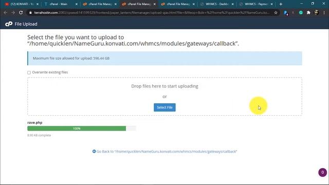 How To Add A Custom Payment Gateway In Whmcs  (Rave By Flutterwave)?? 2022