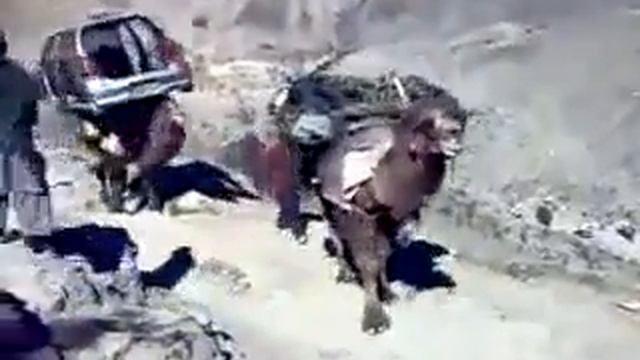 Перевозка автомобилей(Прикол смотреть онлайн