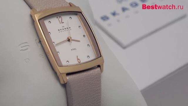 Женские кварцевые часы Skagen Leather Rectangular 691SRLT
