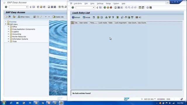 SAP BASIS COURSE: Lec 3. Transactional Processing. смотреть онлайн