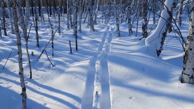 По тяжёлому снегу на солонец в марте смотреть онлайн
