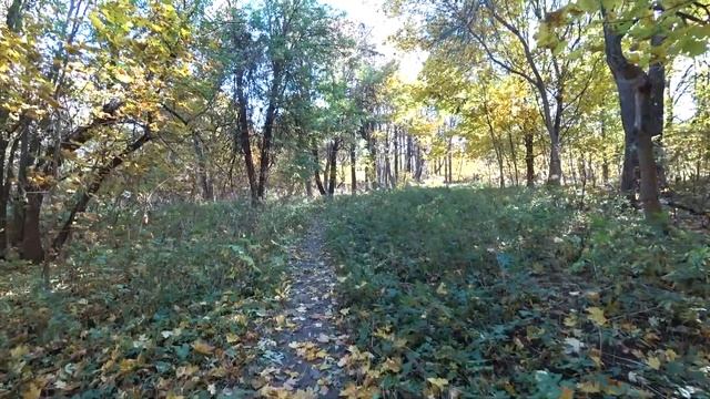 МГУ и ВОРОБЬЁВЫ ГОРЫ/Прогулка по Москве/Большой газон МГУ/Канатная дорога и теплоходы смотреть онлайн