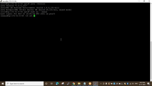 Nexus and Java Installation on Amazon Linux смотреть онлайн
