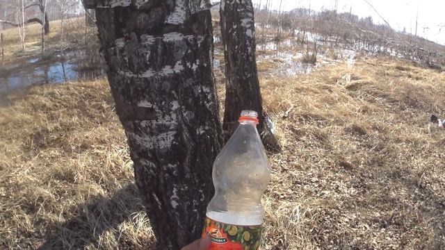 Поехали за Живой Водой, но всё оказалось не так легко...? смотреть онлайн