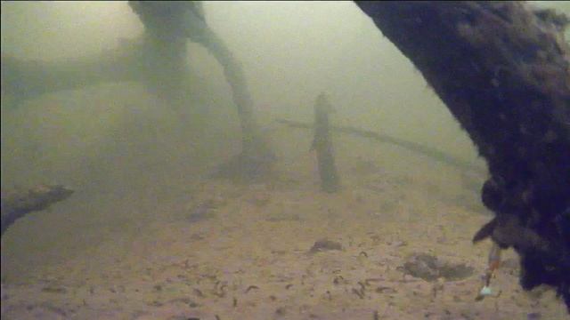 Где-то на Волге в КОРЯГАХ. Жизнь подо льдом. Окунь смотреть онлайн