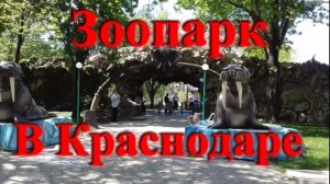 Шикарный зоопарк, парк динозавров в Краснодаре "Солнечный остров"