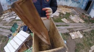 Чем приманить рой пчёл именно к вашей ловушке. Самый простой способ-это их же запахом.