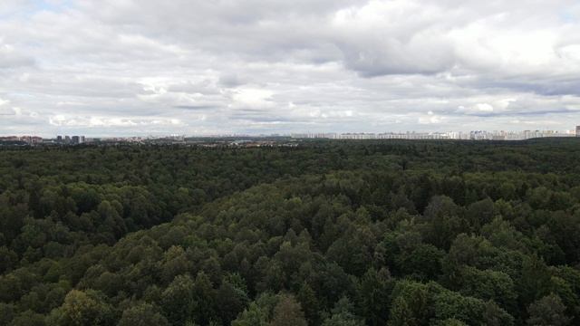 4K Природа Красногорский район Озера Подмосковья / 4k Nature Krasnogorsk district Lakes смотреть онлайн