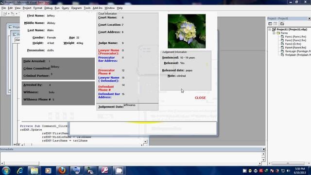 police sample project using vb6 Automatic database connection смотреть онлайн