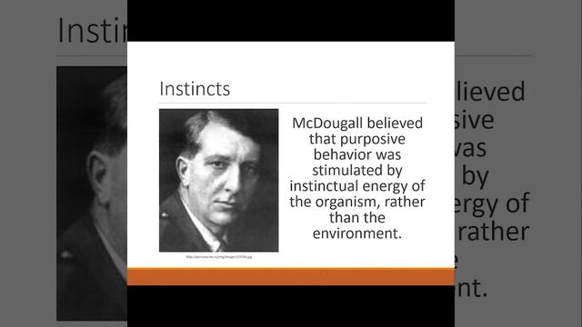 P182 Behaviorism McDougall смотреть онлайн