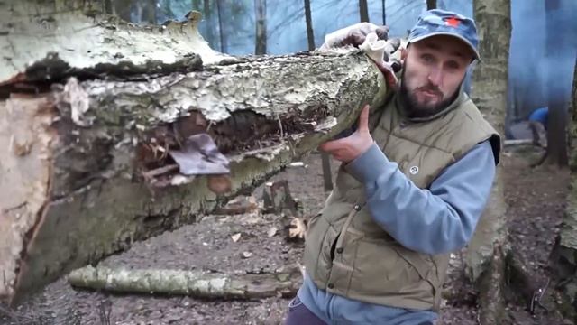 Чистим лес от сухостоя смотреть онлайн