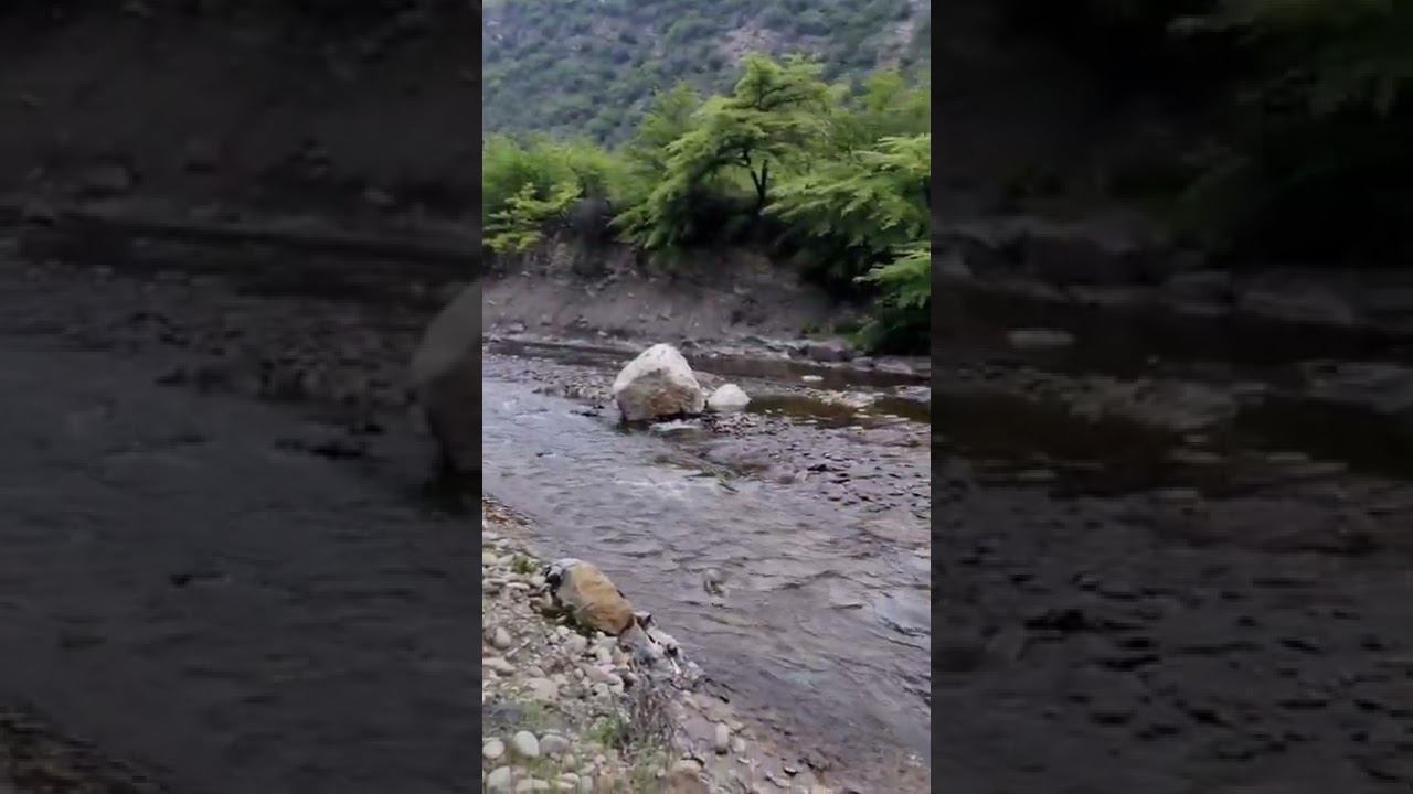 Горный ручей смотреть онлайн