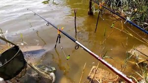 Крым рыбалка на карася Михайловское озеро Саки, Орехово