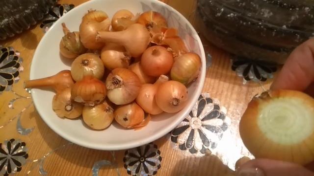 Способ посадки лука на зелень. смотреть онлайн