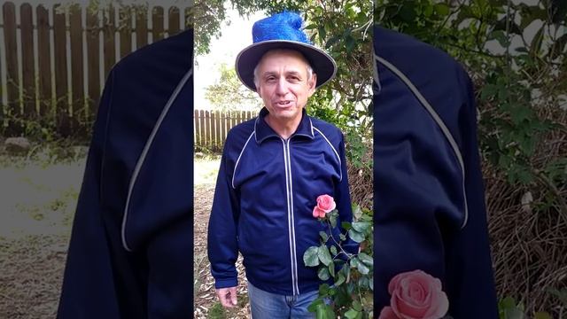 Сказка про Федота-Стрельца, ч. 17 смотреть онлайн