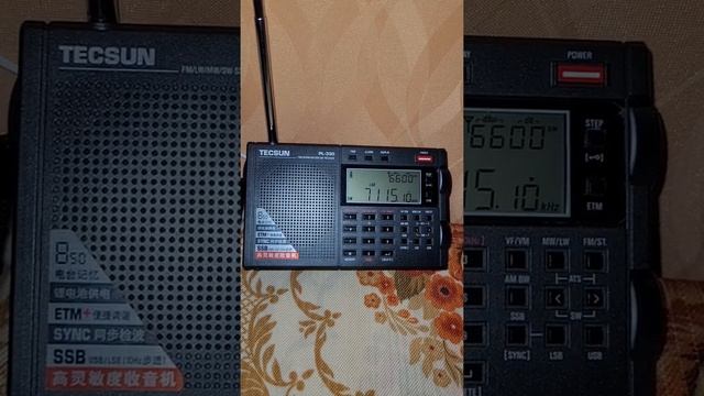 HanRongDa HRD-747 Vs Tecsun Pl330