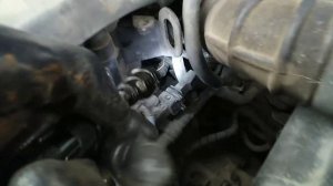 Расположение номера двигателя на kia spectra