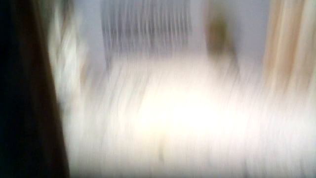 Зоопарк Санкт-Петербург 1(12) смотреть онлайн