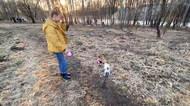 ПЕРВАЯ ПРОГУЛКА ЛУНЫ❤️✨ смотреть онлайн