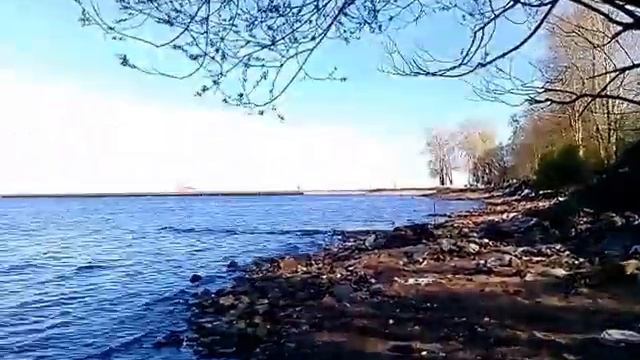 Прогулка по берегу Котлина смотреть онлайн