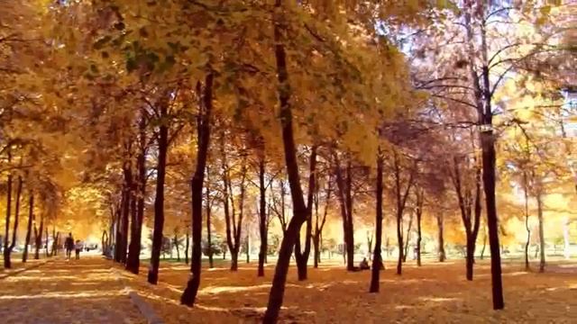 По календарю - осень смотреть онлайн