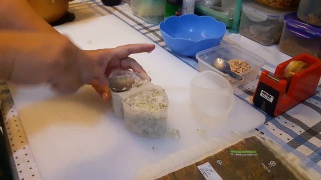 CARA MEMBUAT ONIGIRI смотреть онлайн