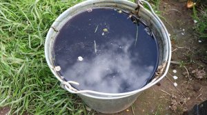 7 полезных применений дегтя в саду осенью о которых вы и не догадывались.