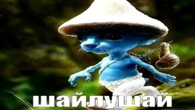 Шайлушай | We Live We Love We Lie | 10 часов | ОРИГИНАЛ