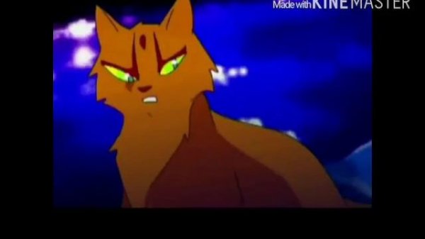 Клип Коты Воители