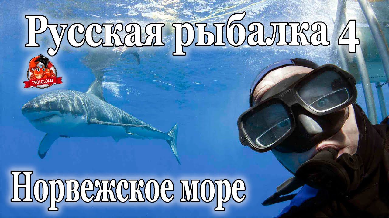 Русская рыбалка 4 Ловим на донную оснастку с мертвой рыбой смотреть онлайн