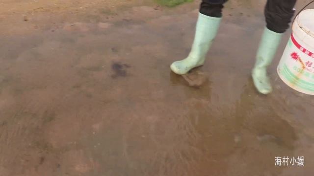 小妹換新髮型趕海帶好運，連連碰大沙白，還抓到2斤多大青蟹【海村小媛】 смотреть онлайн