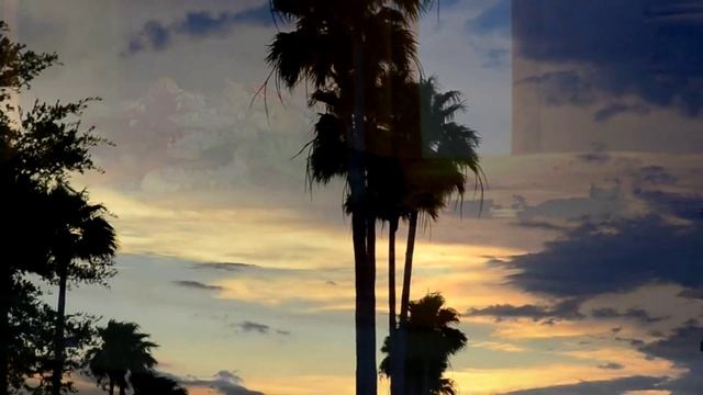 Restaurants in Cocoa Beach | Enjoy All Kinds of Restaurants in Cocoa Beach & Dining in Cocoa Beach смотреть онлайн