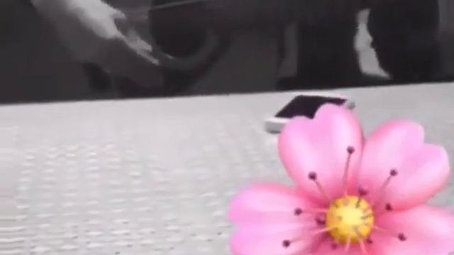 Есть тишина, которая говорит. И есть слова, которые нечего не значат.🖤🪐 смотреть онлайн