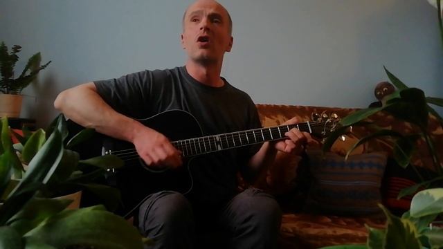 "Мир вашему дому"( Як-Истребитель). Владимир Высоцкий. Кавер(cover) под гитару. смотреть онлайн