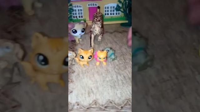 1 часть. Как Огнёвка поехала на дачу с семьёй и друзьями. смотреть онлайн