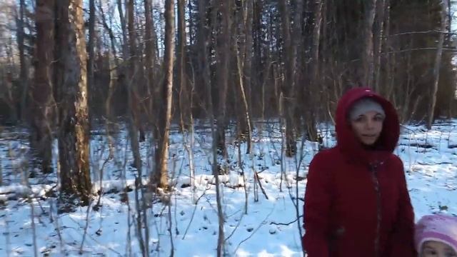 Прогулка по зимнему лесу/ дача 06.12.2020 смотреть онлайн