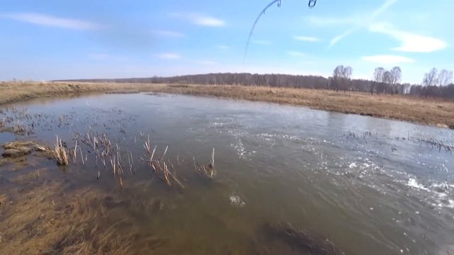 Вот за такой рыбалкой я и ехал! Рыба жарит как надо. Ловля щуки на лесном ручье. смотреть онлайн