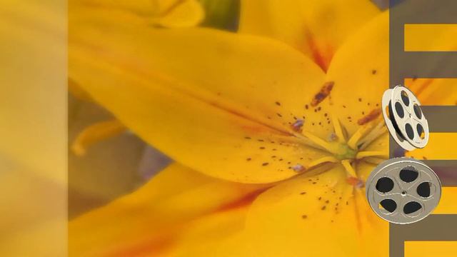 Слайд-шоу для банкета смотреть онлайн