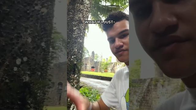 Slap a Rainforest Spiky Tree - Dumb Ways To Die смотреть онлайн