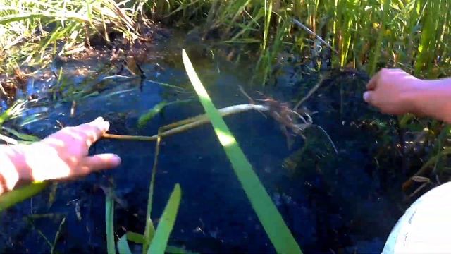 # 4Рыбалка на вершу⚡Лето2022! смотреть онлайн