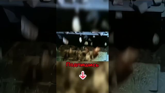 Самые Тяжёлые Профессии в Мире!? #shorts #работа #шахтер смотреть онлайн