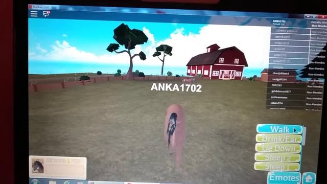 В роблоксе играем лошадкой смотреть онлайн