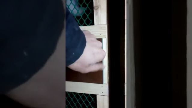 Гнезда чайки смотреть онлайн