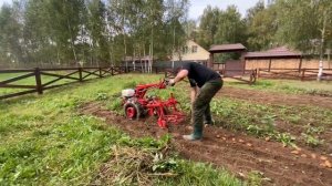 Наш опыт работы с картофелекопалкой КФТ2 на мотоблоке МТЗ