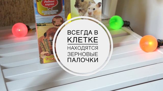 Чем мы кормим наших крыс | Rats food смотреть онлайн