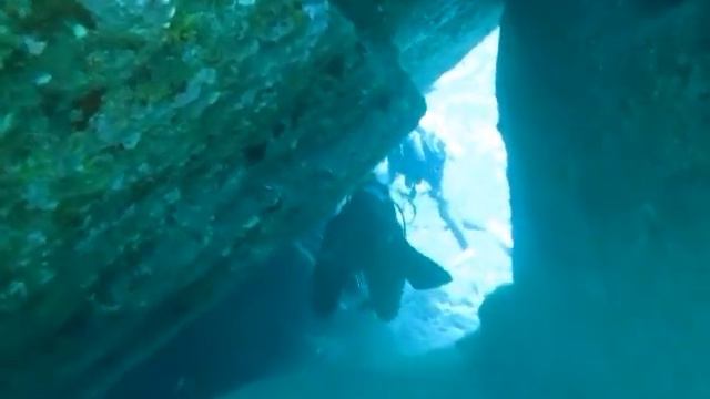 DIVING IN 与那国（海底遺跡とハンマーヘッドシャーク）